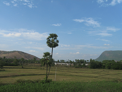 A snapshot of the countryside on our return journey by train